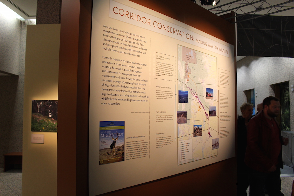 The Wyoming Migration Initiative's Red Desert to Hoback Mule Deer Migration Assessment and map from 2014, at lower left, was featured in a panel on science and conservation.