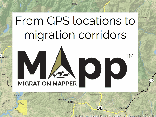 Migration Mapper animated gif - From GPS locations to migration corridors
