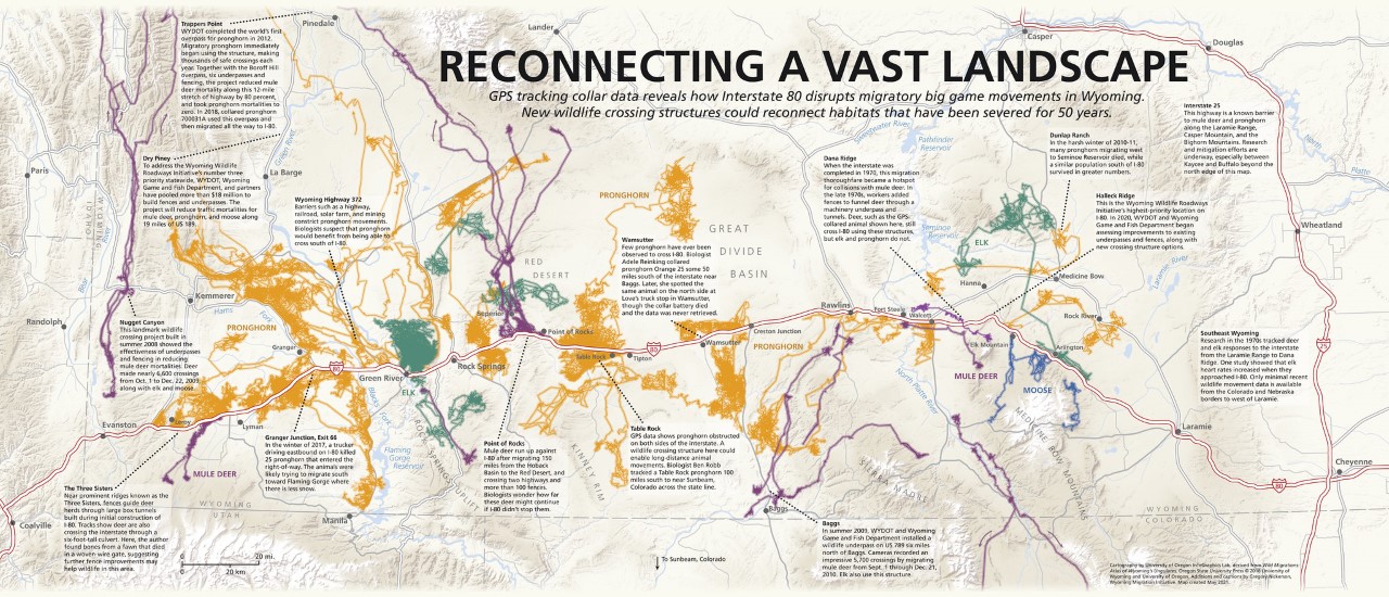 Migration routes image - Reconnecting a vast landscape