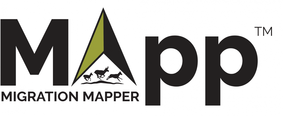 Mapp: Migration Mapper logo