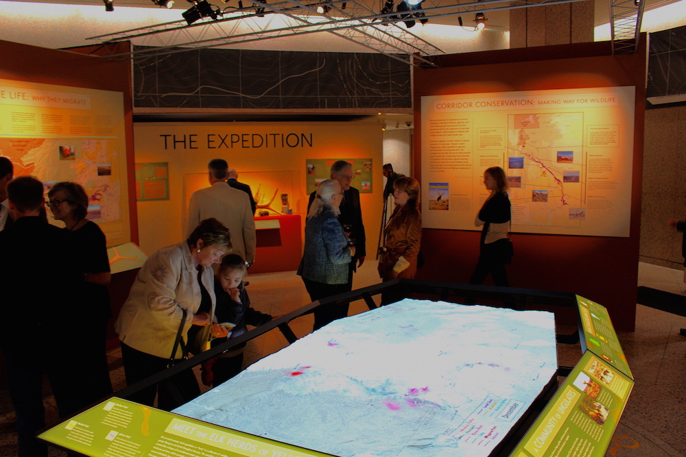 The core of the exhibit features an interactive, animated map of elk migration routes projected on a 3-D landscape of Greater Yellowstone Ecosystem.