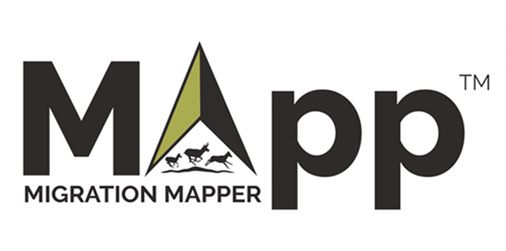 Migration Mapper logo