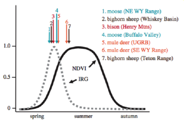 Chart of large herbivores surfing the green wave