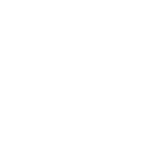 Pronghorn