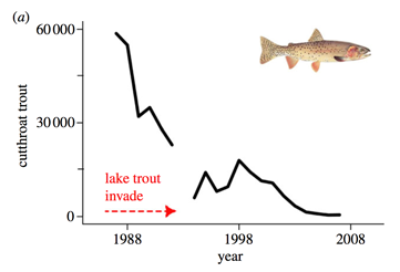 Lake trout invading chart