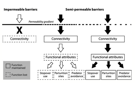 Impermeable and semi-permeable barriers chart