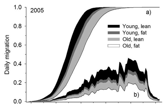 Young and old daily migration chart