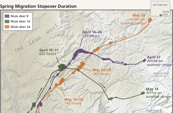 Spring Migration Stopover Duration map