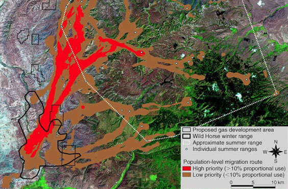 Proposed gas development area vs migration route priorities on map