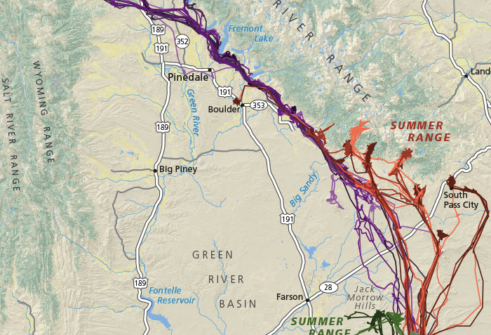 Map of migration routes in Wyoming