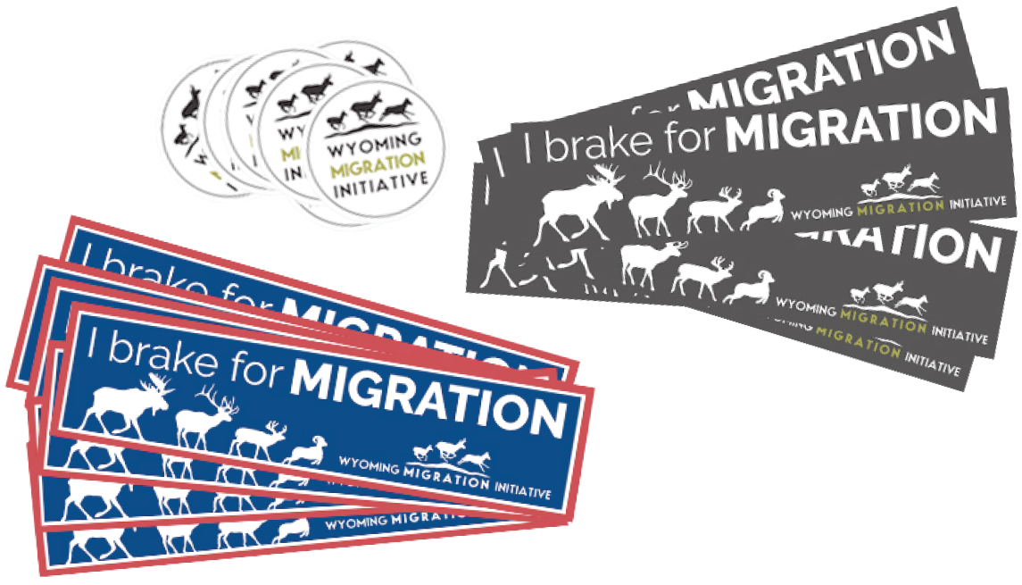 Order a Bumper Sticker – Wyoming Migration Initiative