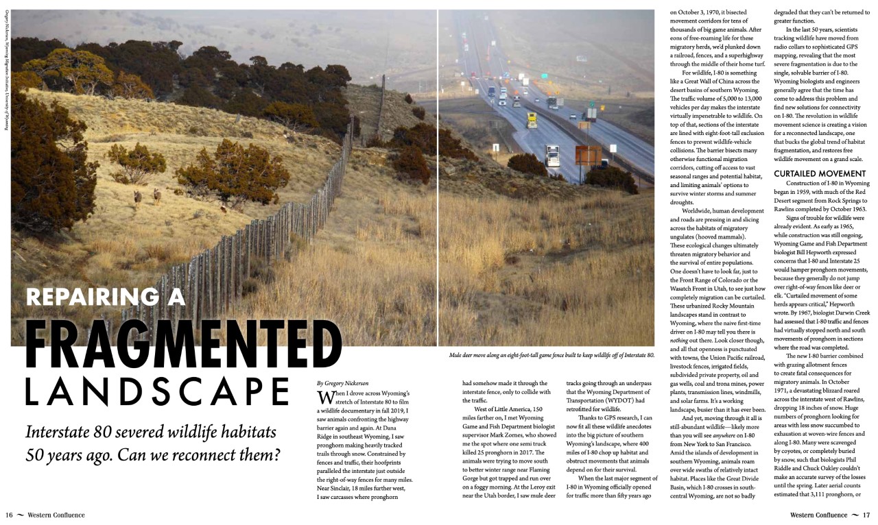 Thumbnail of Western Confluence article about Repairing a Fragmented Landscape