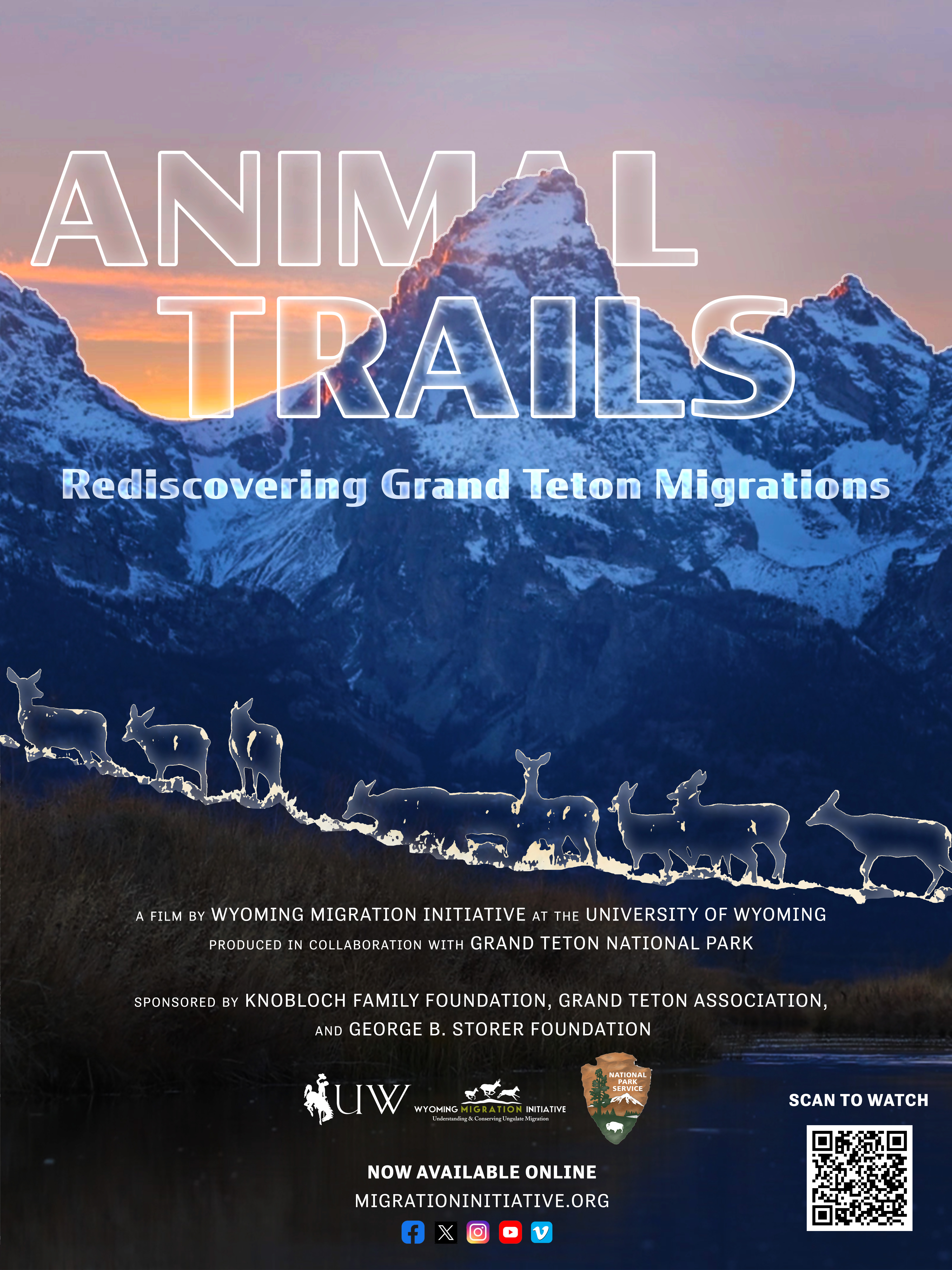 Animal trails film poster