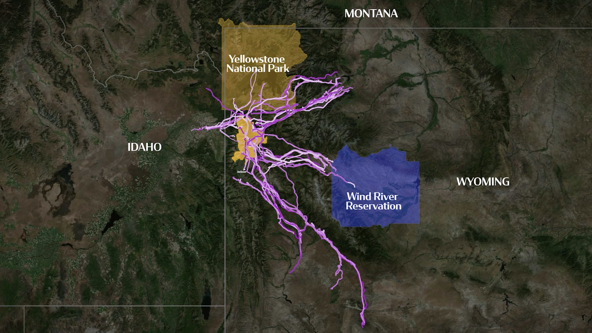 Mule deer migration routes of Grand Teton National Park 