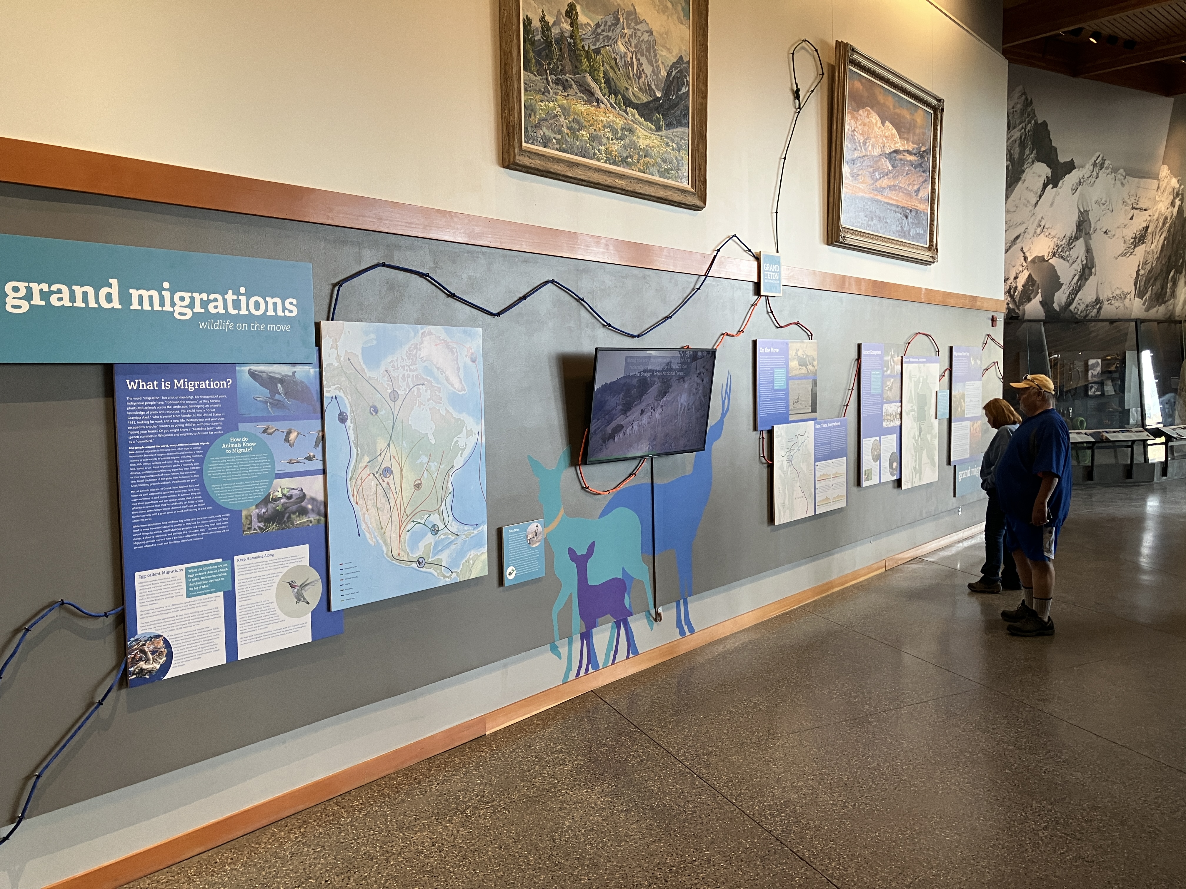 The Grand Migrations exhibit at the Craig Thomas Discovery and Visitor Center in Grand Teton National Park.