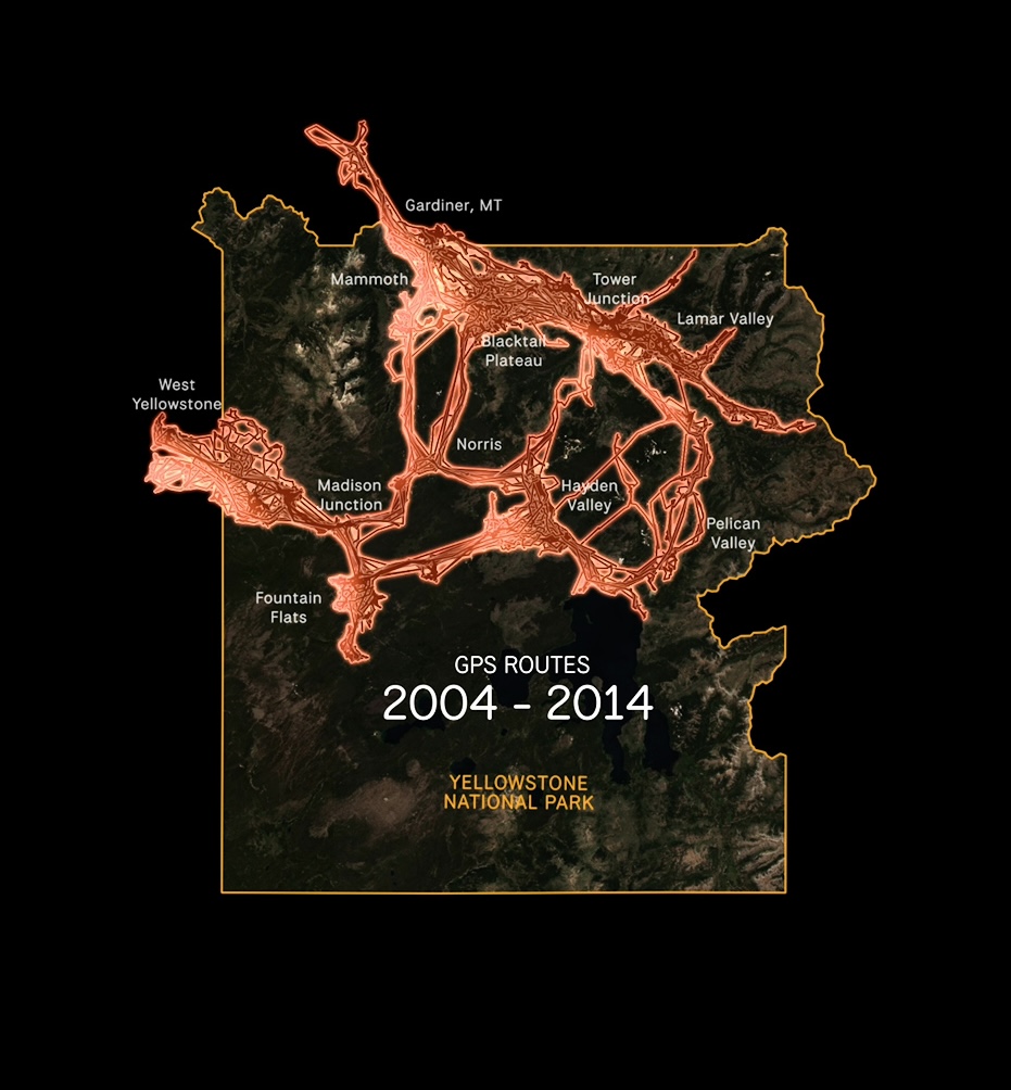 Yellowstone bison migration map, showing routes that existed 2004-2014.